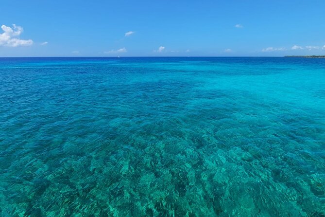 5-Hour 38'Luxury Catamaran All-Inclusive Tulum & Playa del Carmen - Drinks and the party-with-a-plan feel (with age rules that are clear)