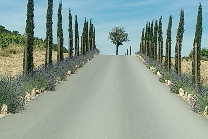 5-Hour Private Sightseeing Tour of the Provence from Marseille in Luxury Car - Cassis: A Luxury Fisherman Village With Sea-Air Payoff