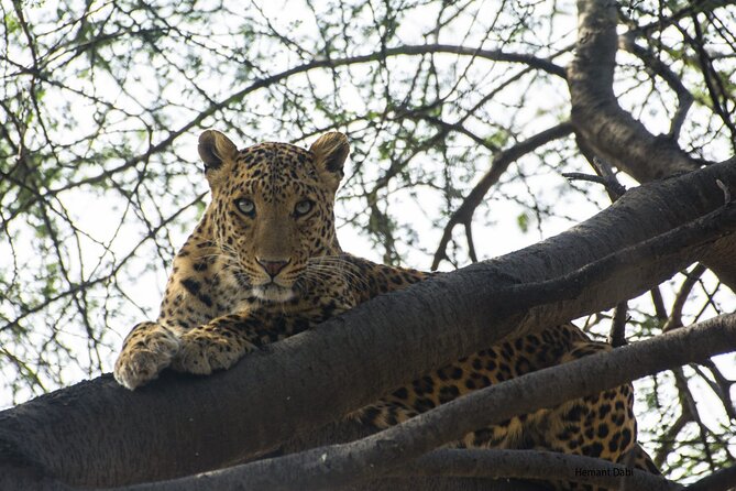 6-Days Golden Triangle Tour With Ranthambore & Jhalana Safari - Delhi Day 1: Qutub Minar and Old Delhi without the sprinting