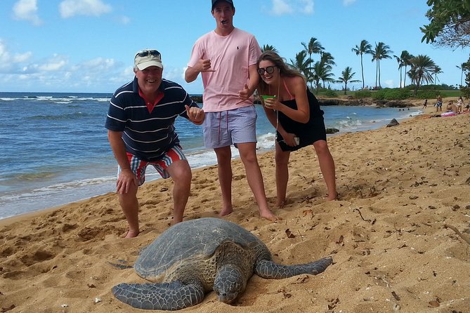 6-Hour Private Customized Luxury Convertible Tour of Oahu's North Shore - Price and Value: What $760 Gets You (and What It Doesn’t)
