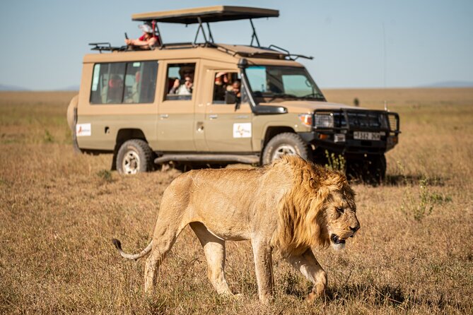 7-Day Premium Luxury Tanzania Safari All-Inclusive - Key highlights worth paying attention to