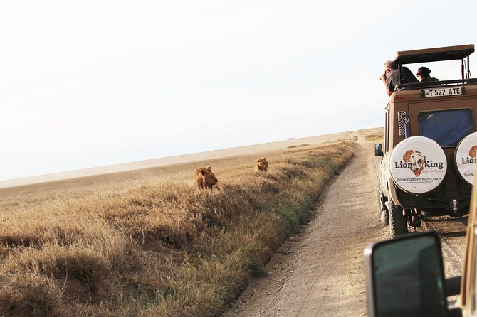 7-Day Premium Luxury Tanzania Safari All-Inclusive - Entering Tanzania’s wild north in a private luxury flow