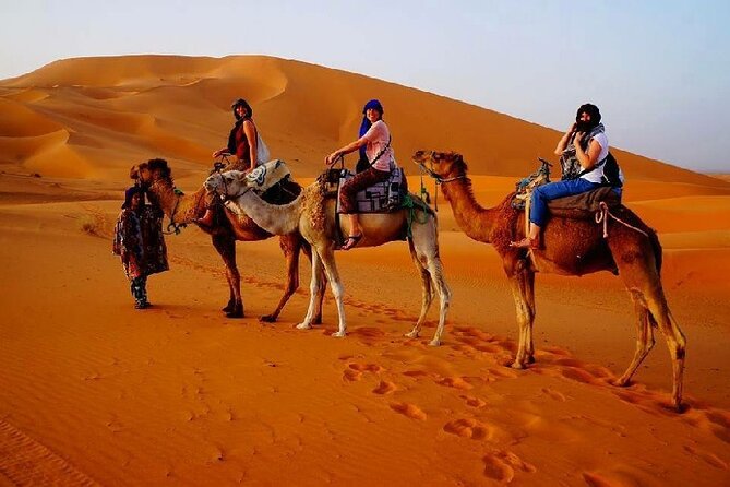 7 Days Luxury Desert Tour From Casablanca to Marrakech via fez -Camel trekking - Day 4 in the desert: sunrise dunes plus Todra Gorge at walking speed