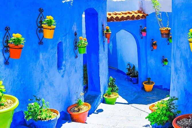 7 Days Luxury Desert Tour From Casablanca to Marrakech via fez -Camel trekking - Day 5 to Marrakech: Ouarzazate movie sites and UNESCO Ait Ben Haddou