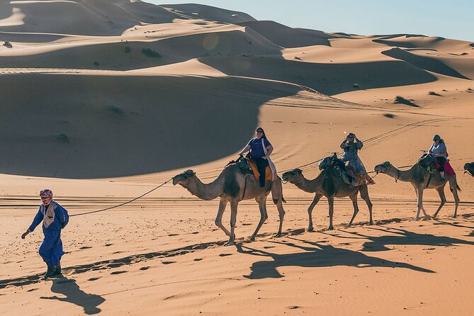 7 Days Luxury Desert Tour From Casablanca to Marrakech via fez -Camel trekking - Day 7: departing Casablanca, or finishing in Marrakech