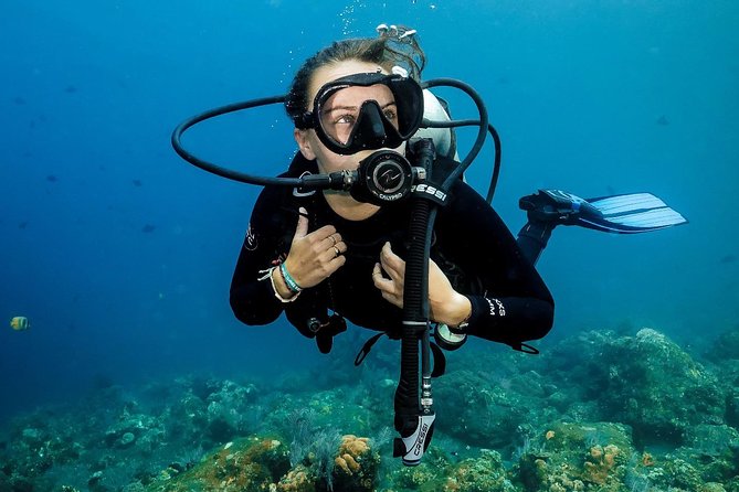 7 Fun Dives in Nusa Lembongan (for certified divers) - Premium Value Package - Gear comfort: wetsuit, weights, BCD, regulator