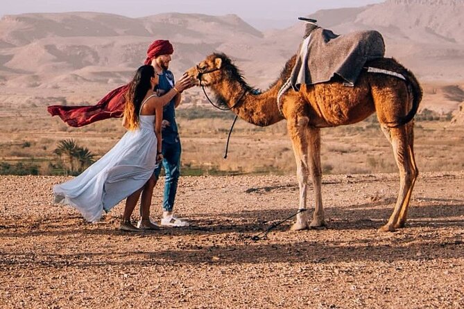 8D Morocco Luxury Private Tour From Casablanca By Imperial Cities - Meknes to Fes: Big Gates, Leather Dyes, and a Guided Old City