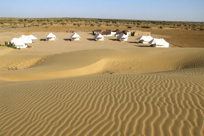 A Night in Thar Desert – Unforgettable Luxury Camel Safari - Key highlights to know before you go
