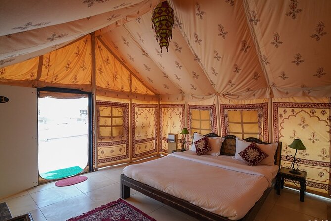 A Night in Thar Desert – Unforgettable Luxury Camel Safari - Day 2: sunrise options, buffet breakfast, and a second camel taste