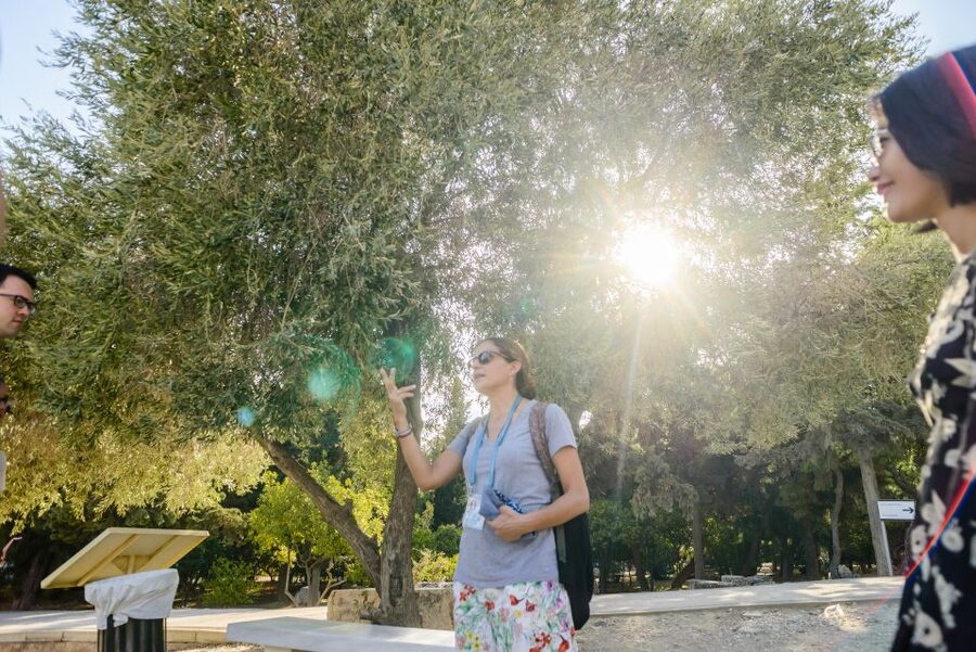 Acropolis: Premium Acropolis and Parthenon Guided Tour - Key takeaways before you go