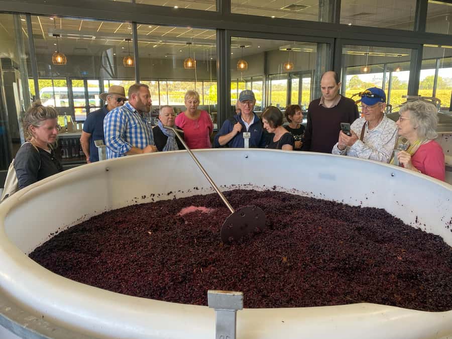 Adelaide: Barossa Premium Wine Tasting tour & Winery Lunch - Tanunda Break Time: Quick Town Walk, Coffee, and Real Barossa Texture