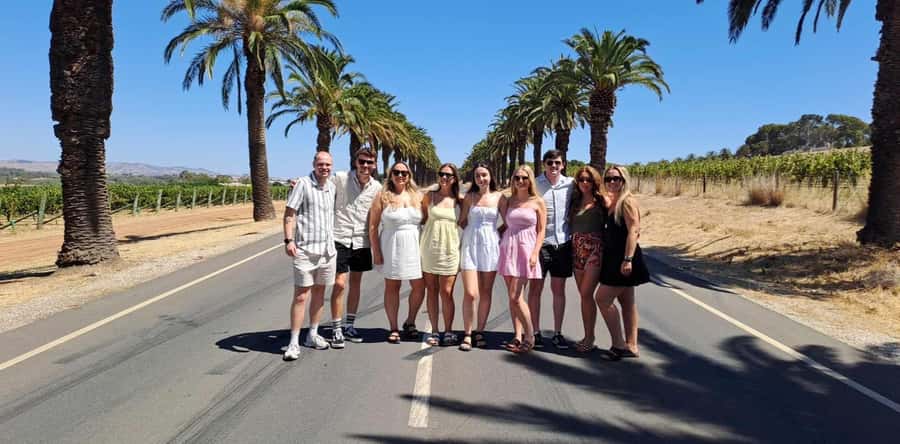 Adelaide: Barossa Premium Wine Tasting tour & Winery Lunch - Pickup, the 20-Seat Coach, and Why Timing Matters