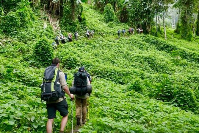 ADVENTURE KOKODA 10-Day Premium Kokoda Campaign Trek Australian Led - Mogolonumu and Ladavi Saddle: Mogolonumu to Nauro Lookout