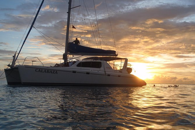 Afternoon Luxury Catamaran Sailing and Charter Cruise from Bridgetown - Key Highlights I’d Plan Around