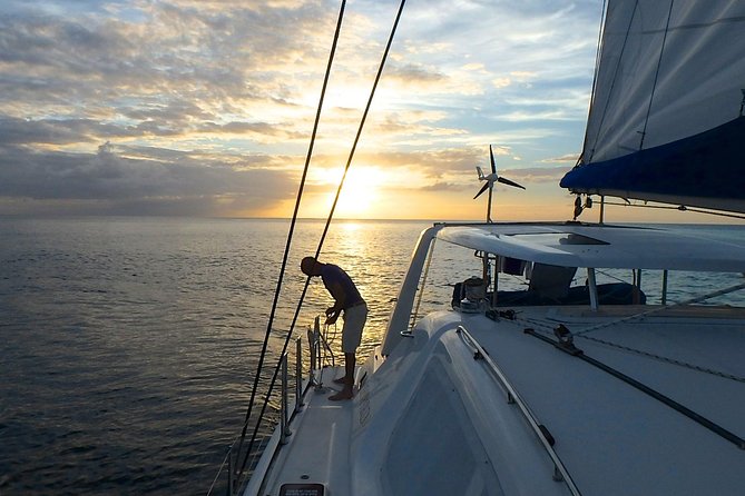Afternoon Luxury Catamaran Sailing and Charter Cruise from Bridgetown - Pickup Zones and Timing: The Real-Life Logistics That Affect Your Day