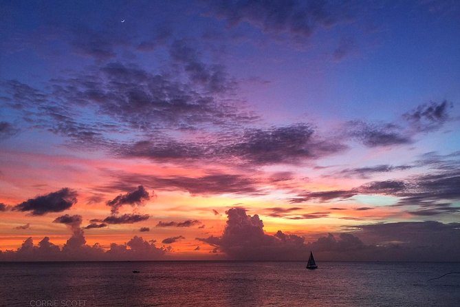 Afternoon Luxury Catamaran Sailing and Charter Cruise from Bridgetown - Who This Catamaran Charter Fits Best (and Who Should Rethink It)