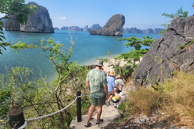 All-Inclusive 3 Day/2 Night Halong Luxury Cruise Meals, Cave, Kayaking, Swimming - Food at sea: seafood, vegetarian options, and actually-structured meals