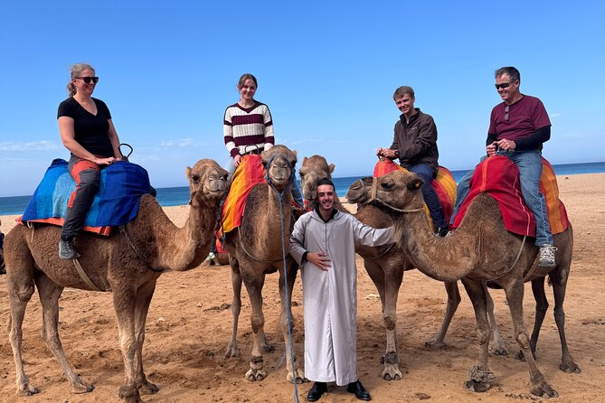 All-Inclusive Luxury Day Trip from Tarifa to Tangier - Key highlights you’ll actually feel