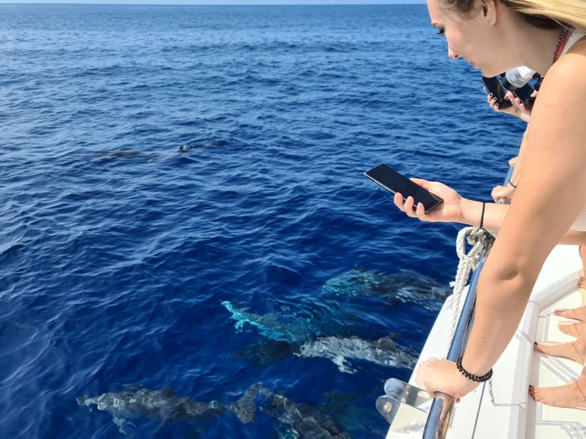 All Inclusive Whale and Dolphin Watching Luxury Tour - Crew style: why service quality is a big part of the trip