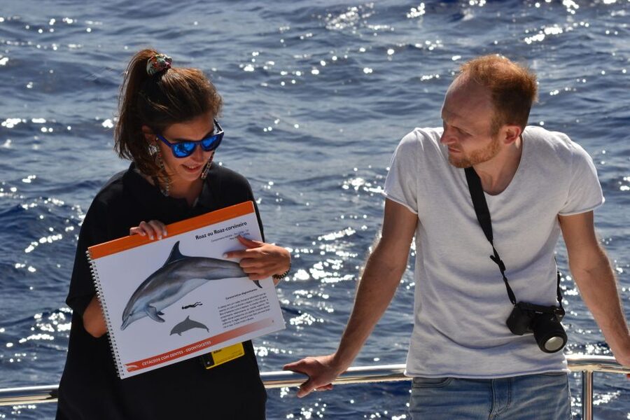 All Inclusive Whale and Dolphin Watching Luxury Tour - Who should book this Madeira luxury whale and dolphin tour