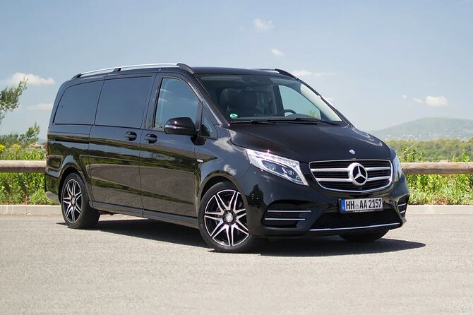 Amsterdam Airport Private Arrival Transfer by Luxury Van - Quick tips to make your pickup smooth