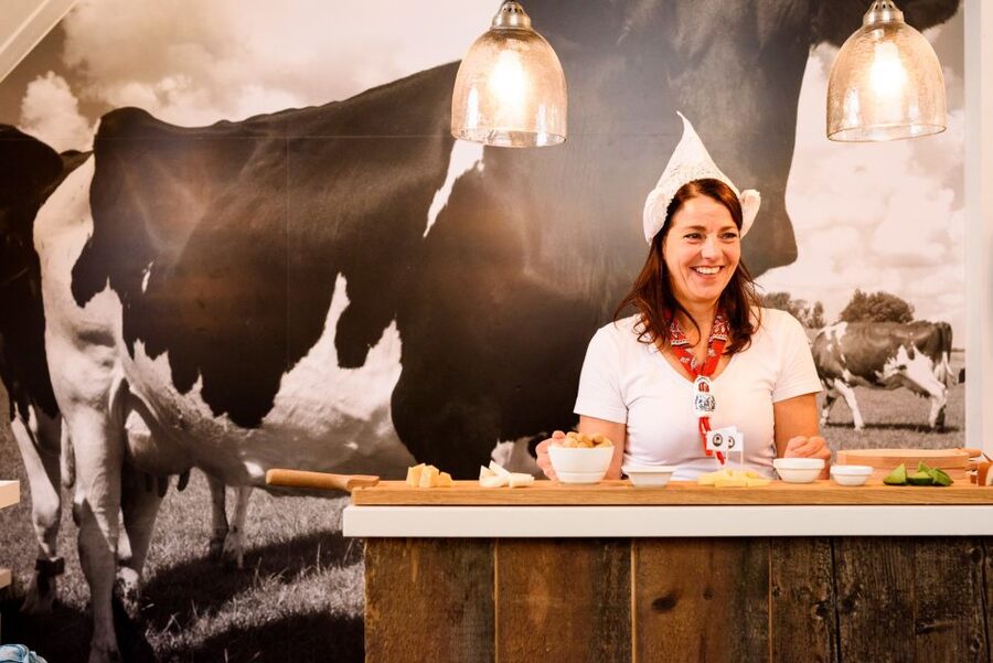 Amsterdam: Premium Henri Willig Cheese Tasting Experience - Key takeaways before you go