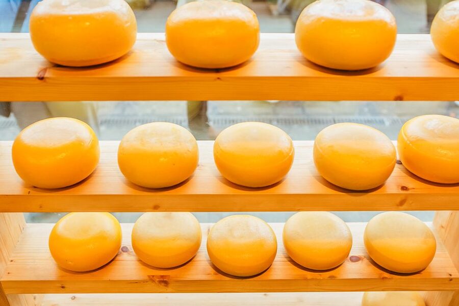 Amsterdam: Premium Henri Willig Cheese Tasting Experience - The 10% store discount: how to shop smarter right after