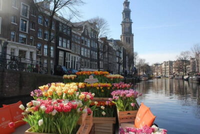 Amsterdam: Premium Tulip Boat Canal Tour - The tulip boat setup: what makes the flowers feel special