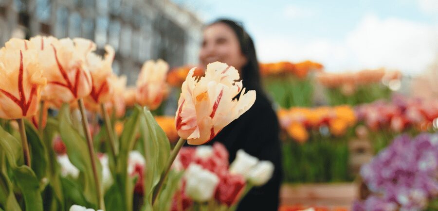 Amsterdam: Premium Tulip Boat Canal Tour - The guide makes the hour: humor, questions, and pace