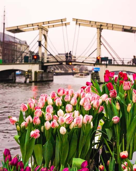 Amsterdam: Premium Tulip Boat Canal Tour - Rain plans, delays, and the “covered boat” trade-off