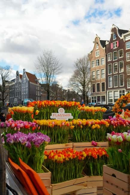 Amsterdam: Premium Tulip Boat Canal Tour - What to bring (and the few rules that affect your comfort)