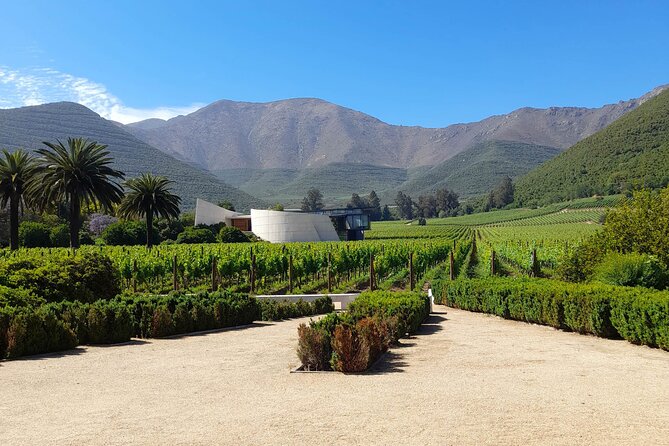 Andes Portillo & Aconcagua wine tour semi private - The Los Libertadores route: a quick border-world perspective