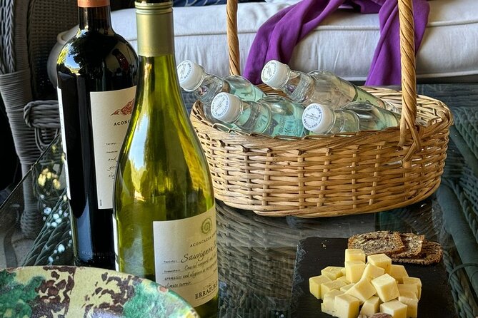 Andes Portillo & Aconcagua wine tour semi private - Price and value: what $129 buys you