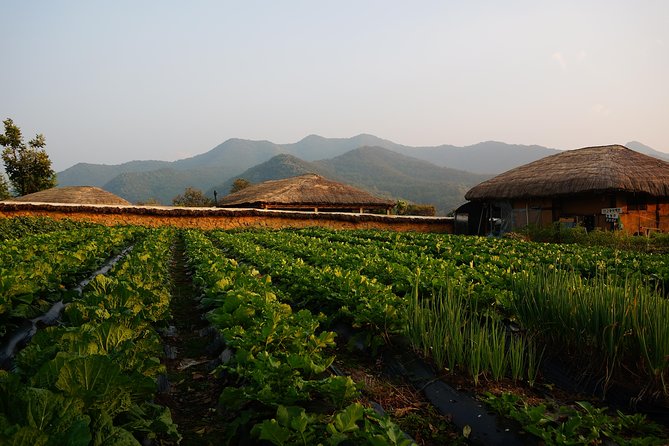 Andong Hahoe Village [UNESCO site] Premium Private Tour from Seoul - Price and value: $274 per person, and what you’re really paying for