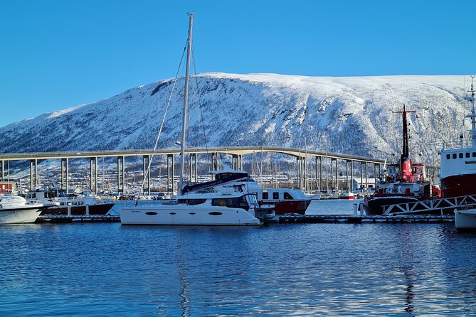 Arctic Fjordcruise & Safari in Tromso with Luxury Catamaran - Fjellheisen views from the water: seeing Tromsø’s landmark at angle
