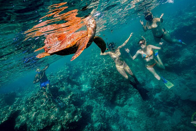 Ariki Adventures: Premium Sea Scooter Turtle Adventure - Scooter Training: How the Guides Keep You in Control