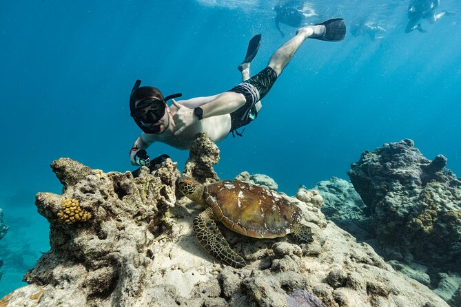 Ariki Adventures: Premium Sea Scooter Turtle Adventure - Safety and Group Management: The Real Difference Between a Good Day and a Messy One