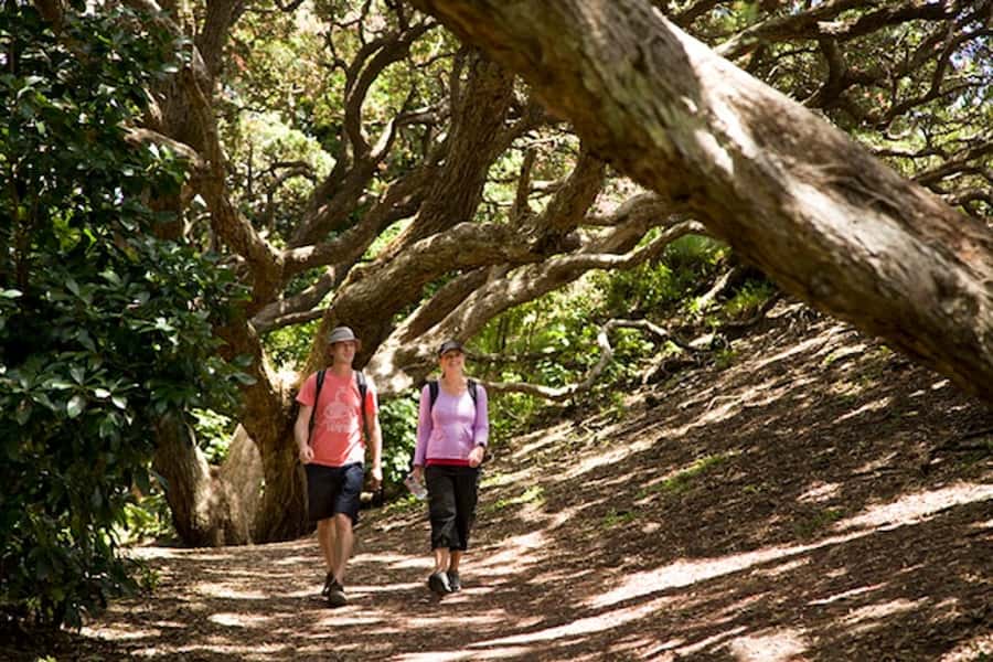 Auckland City and West Coast Luxury Tour - Tamaki Drive and Mission Bay: the waterfront you’ll remember