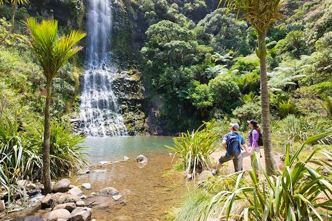 Auckland City and West Coast Luxury Tour - The guide makes the day: Māori culture with Harry, H, and Moral