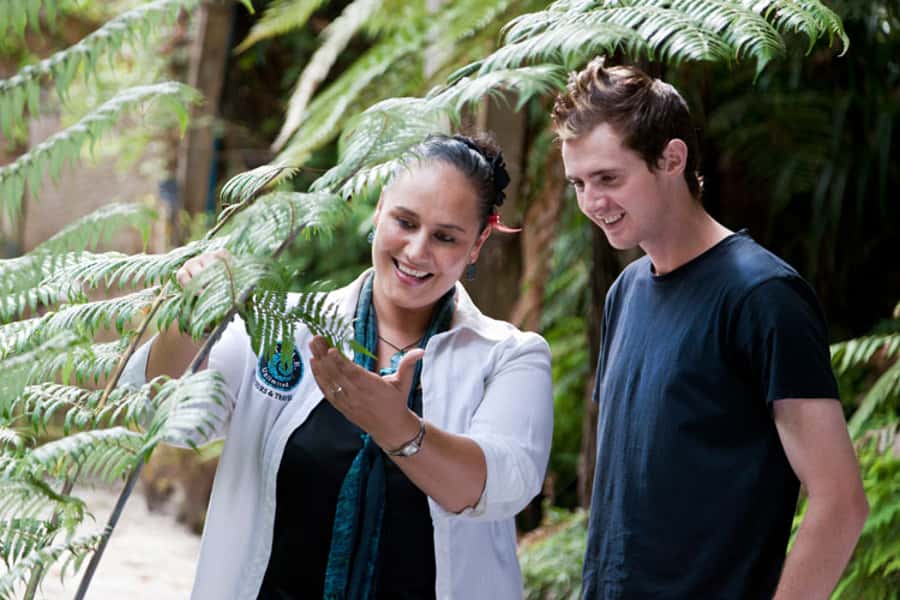 Auckland City and West Coast Luxury Tour - Logistics that can affect your comfort