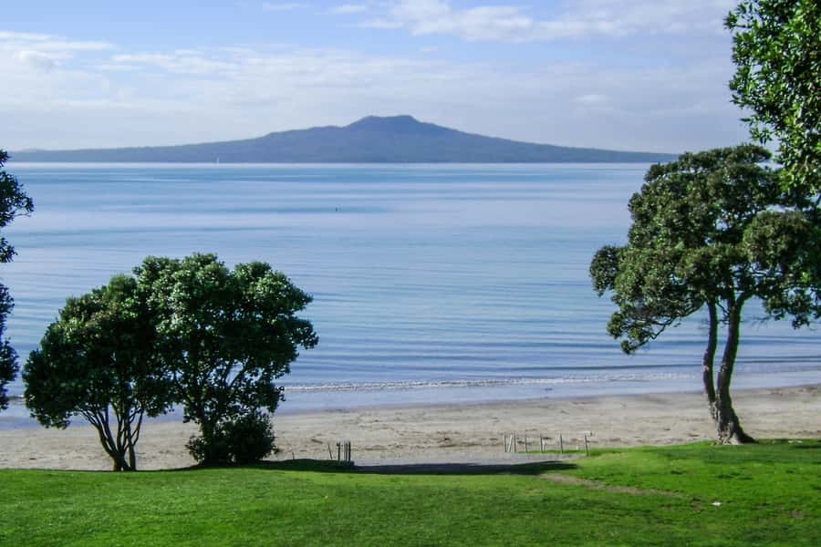 Auckland City, Beaches & Rainforest Premium Small Group Tour - A full day built around viewpoints, not just sightseeing