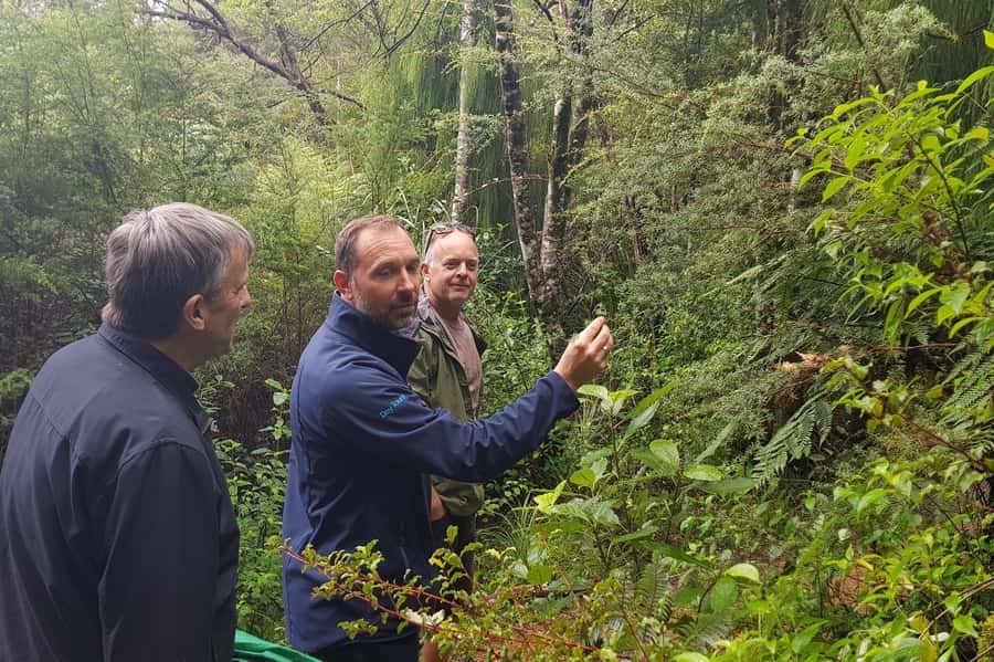 Auckland City, Beaches & Rainforest Premium Small Group Tour - Price and value: why $176 can make sense for this day