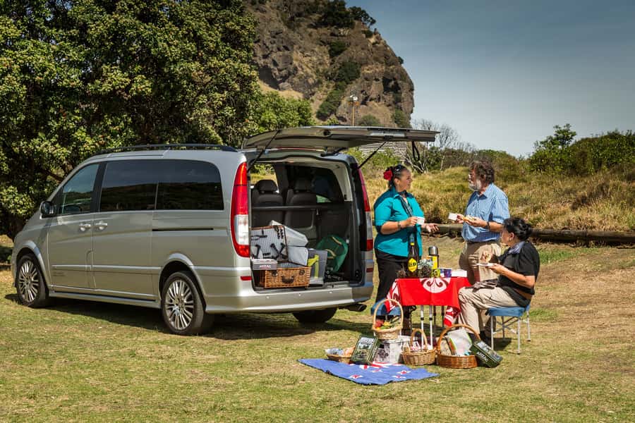 Auckland City & West Coast Luxury Tour - New Zealand Ancient Rainforest and Kauri Trees: Why This Stop Matters
