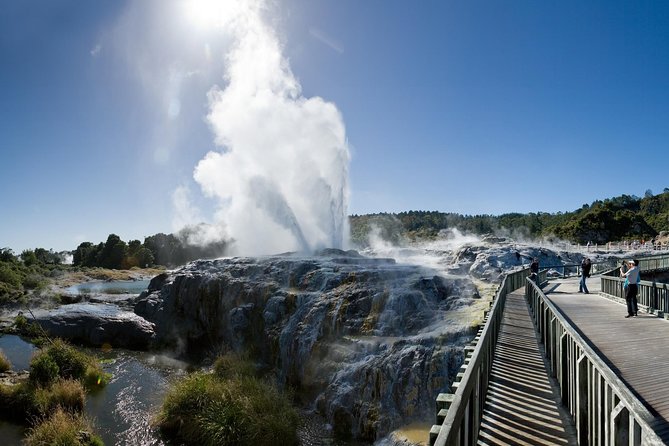 Auckland Sights Exclusive 4 Hour Luxury Day Tour - Getting Your Auckland Bearings in Four Hours