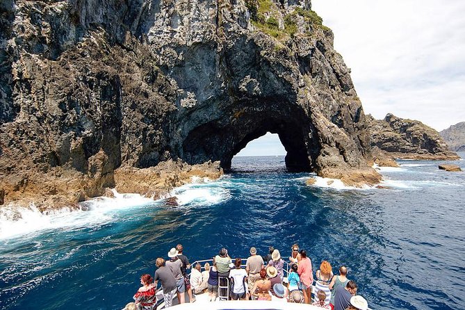 Auckland Sights Exclusive 4 Hour Luxury Day Tour - Achilles Point and Quick Photo Stops Over the Hauraki Gulf