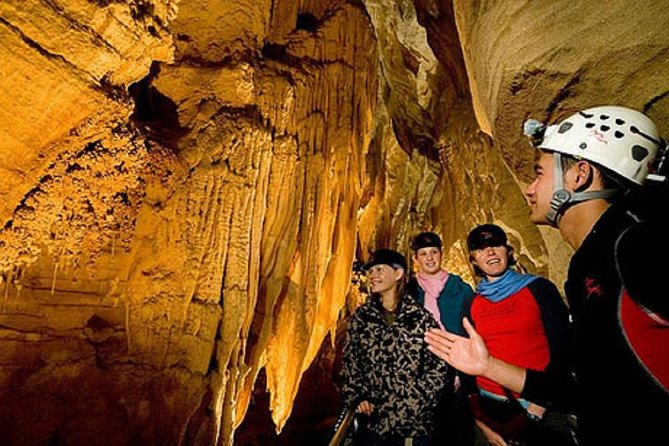 Auckland Sights Exclusive 4 Hour Luxury Day Tour - North Head Historic Reserve: WWII Fortifications and Tunnel Views