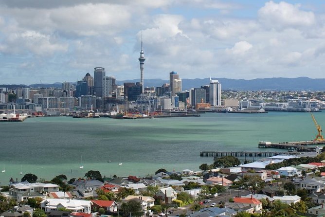 Auckland Sights Exclusive 4 Hour Luxury Day Tour - Vehicle Comfort, Pace, and Why the Guides Get Good Feedback