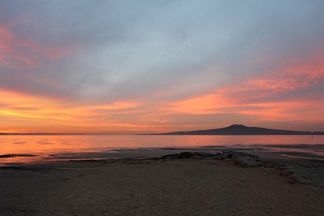 Auckland Sights Exclusive 4 Hour Luxury Day Tour - Beach Breaks at Mission Bay and St. Helier’s Bay