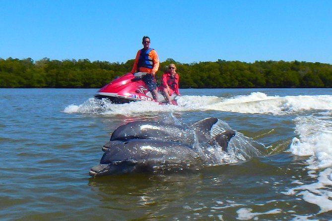 Avi's Premium Dolphin Tour by Jet Ski - Key things I’d note before you book
