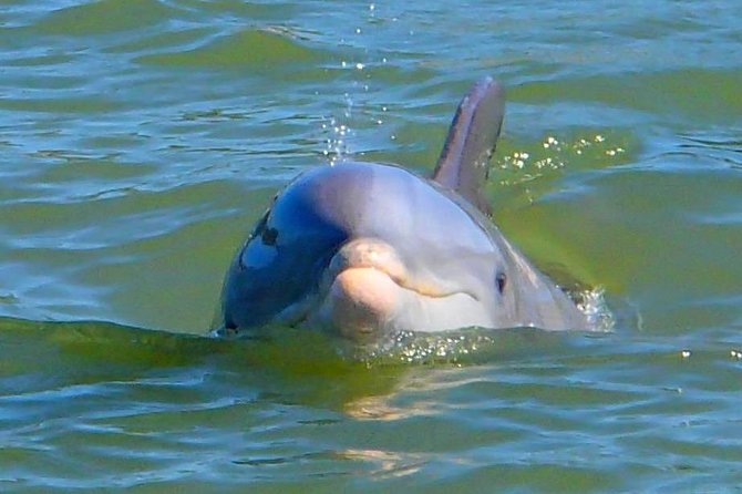 Avi's Premium Dolphin Tour by Jet Ski - Jet ski comfort and safety: life jackets, windbreakers, and water